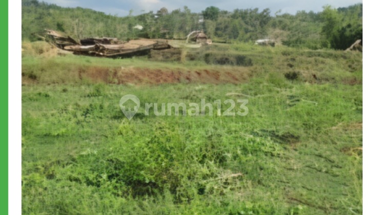 Tanah Matang di Pattalasang Gowa Makasar