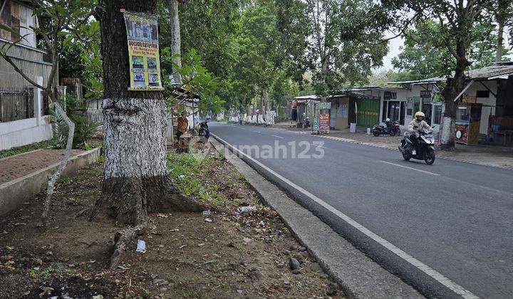 Edisi Bu Tanah Super Luas Poros Jalan Kota Kulon Bondowoso  2