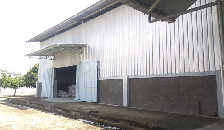 Pabrik Pengolahan Benih Jagung Aktif Strategis Dikawasan Kediri 1