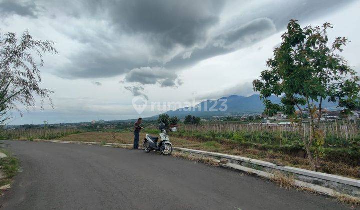 Tanah Subur Luas Harga Istimewa Di Junrejo Kota Batu.  2