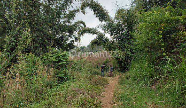 Tanah Pertanian Subur Harga Istimewa Di Pesanggrahan Kota Batu.  1