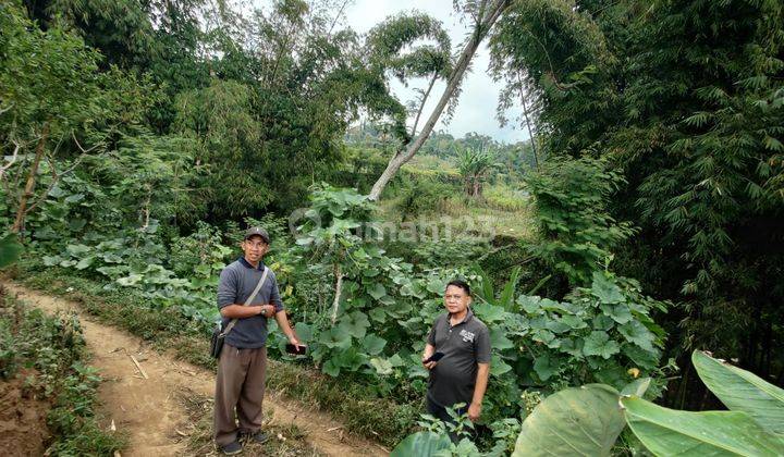 Tanah Pertanian Subur Harga Istimewa Di Pesanggrahan Kota Batu.  2