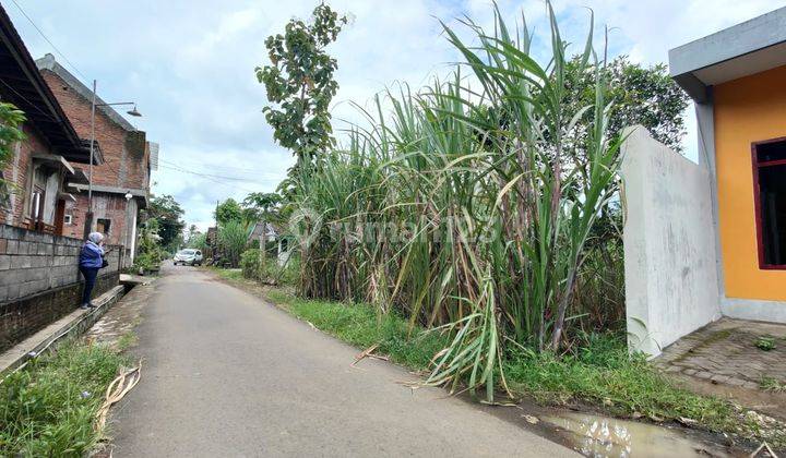 Tanah Subur Luas Harga Bagus Di Kepanjen Kabupaten Malang.  1