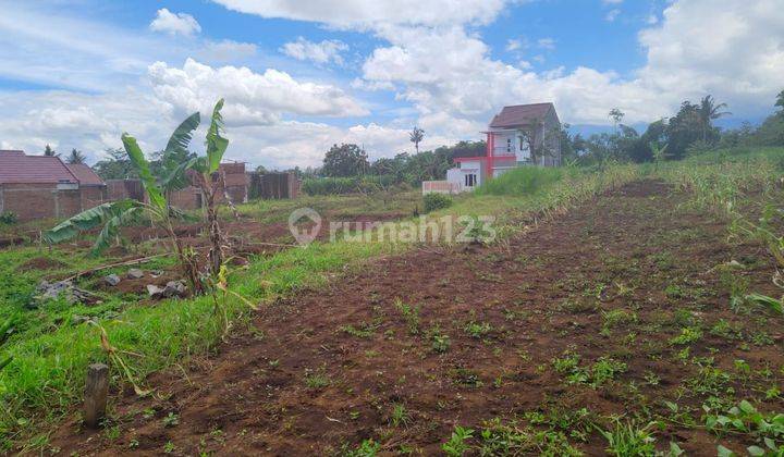 Tanah Kebun Luas Siap Dibangun Hunian Lokasi Karangploso Malang 1