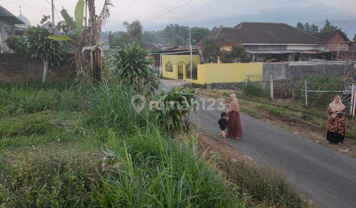 Tanah Luas Dan Murah Cocok Untuk Dibangun Hunian di Karangploso  2