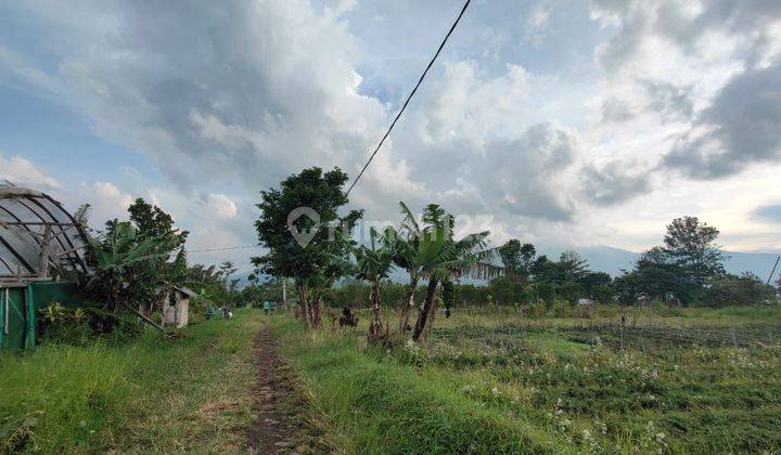 Tanah Luas Harga Murah Cocok Untuk Dibangun Hunian di Kota Batu 2