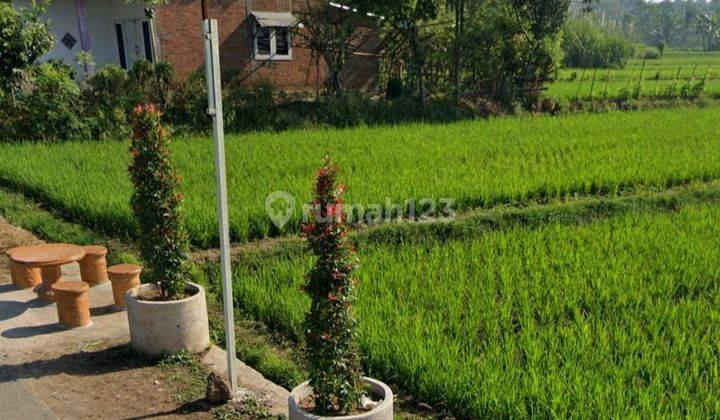 Tanah Luas Dan Murah Lokasi Di Tepi Jalan Raya Karangploso Malang 2