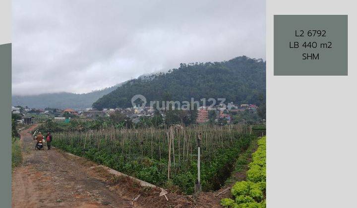 Lahan Kuning Luas Dan Subur Untuk Pertanian Lokasi di Kota Batu 1