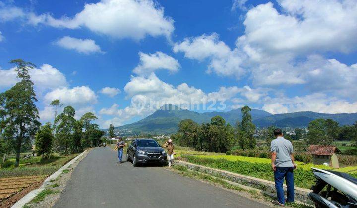 Tanah Luas Dan Murah Lokasi Tepi Jalan Untuk Bisnis di Kota Batu 2