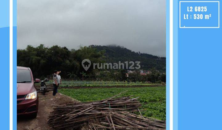 Tanah Sawah Luas Dan Murah Untuk Bisnis Lokasi di Kota Batu 1