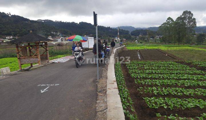 Tanah Luas Harga Borongan Cocok Untuk Investasi Lokasi Sumberejo 2