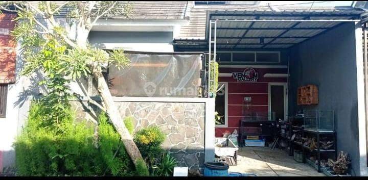 Rumah Bagus Siap Huni Nego 2 Lantai Lokasi di Pakis Malang 2