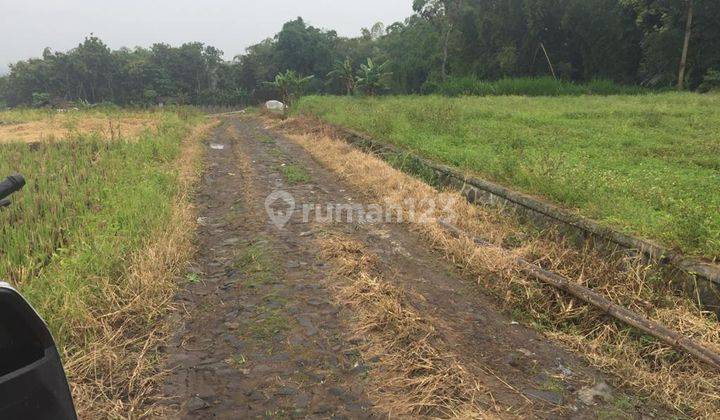 Lahan Kuning Luas Dan Murah Potensial Untuk Bisnis Lokasi di Batu 2