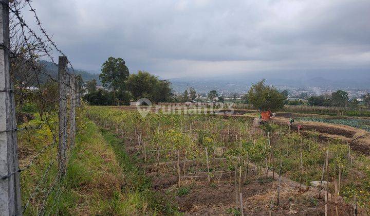 Tanah Murah Dan Luas Lokasi Strategis di Pusat Kota Batu 2