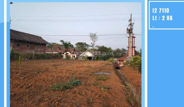 Tanah Murah Dan Luas Cocok Untuk Perumahan di Karangploso 1