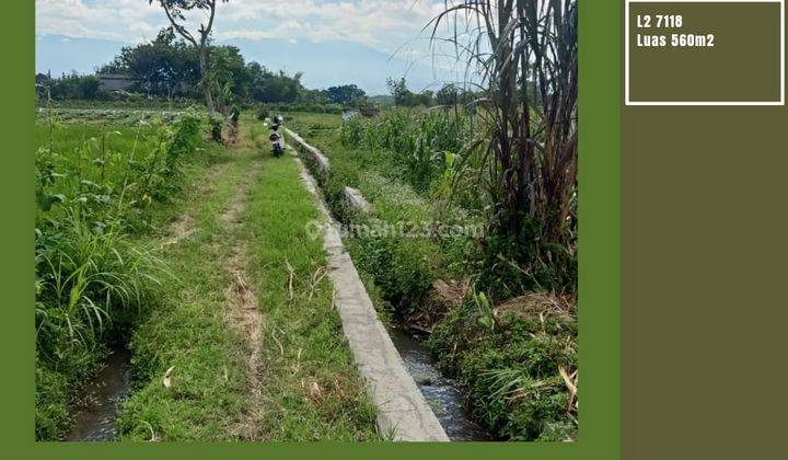 Tanah Subur Luas Dan Murah Cocok Untuk Perkebunan Jeruk di Batu 1