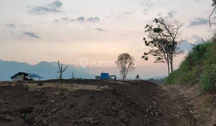 Tanah Karangploso Luas Dan Murah SHM Lokasi Strategis 2