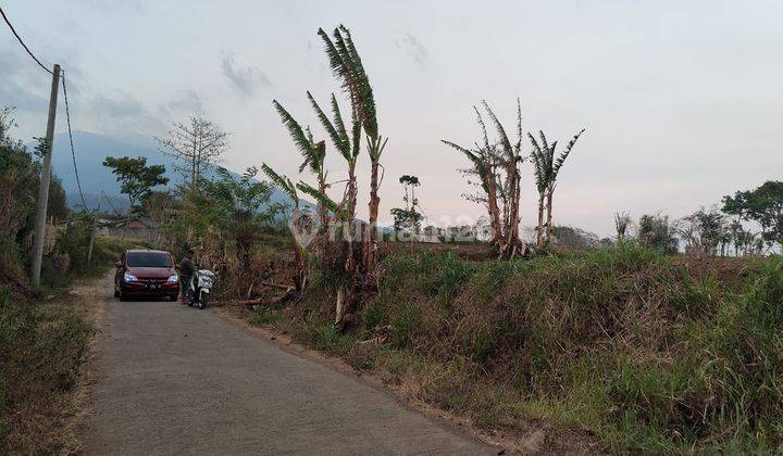 Tanah Luas Dan Murah SHM Lokasi Strategis di Bocek Karangploso 2