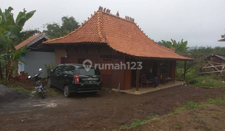 Tanah Luas Dan Murah Nego Plus Rumah Joglo di Batu 2