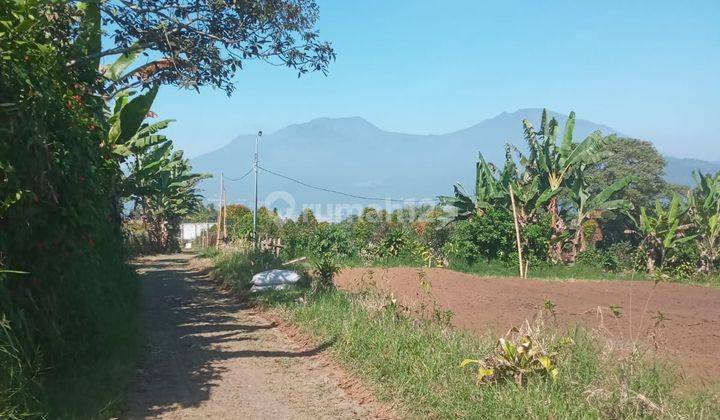 Tanah Luas Dan Murah Plus Rumah Joglo Lokasi di Bumiaji Batu 2