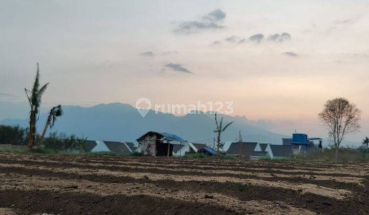 Tanah Kebun Subur Harga Bagus Di Karangploso Kabupaten Malang.  1