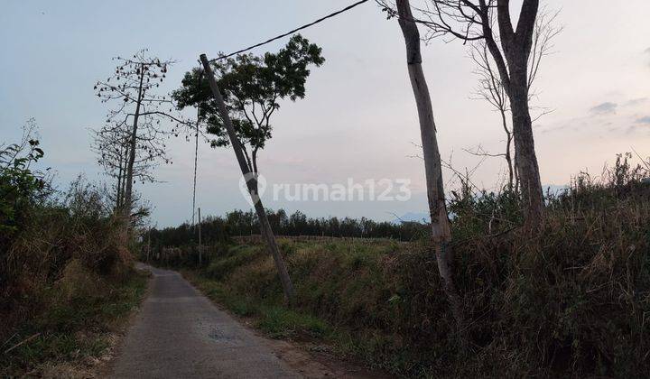 Tanah Kebun Subur Harga Bagus Di Karangploso Kabupaten Malang.  2