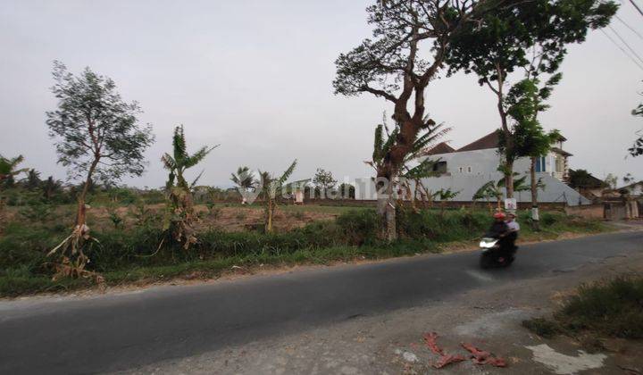 Tanah Kebun Subur Harga Istimewa Di Karangploso Kabupaten Malang. 1