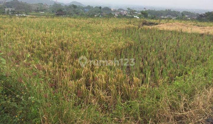 Tanah Luas Harga Murah Lokasi di Junrejo Kota Batu 2