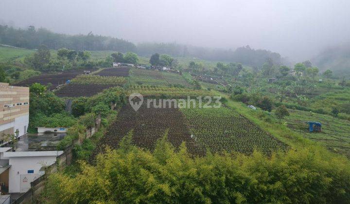 TANAH SAWAH SUBUR HARGA ISTIMEWA DI KOTA BATU. 2