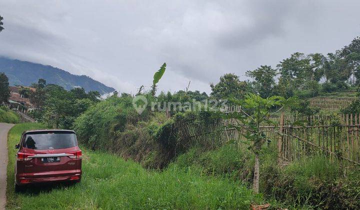 Tanah Kebun Jeruk Luas Dan Produktif di Donowarih Karangploso 1