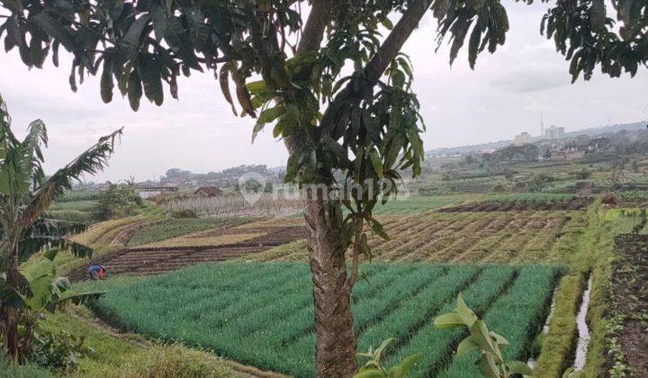 Tanah Luas Subur View Bagus di Belakang Lippo Plaza Batu 2