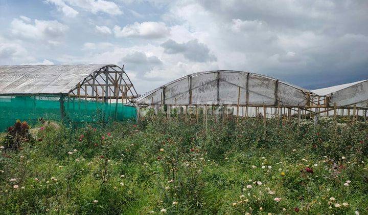 TANAH KEBUN SUBUR HARGA BAGUS DI BUMIAJI KOTA BATU. 1