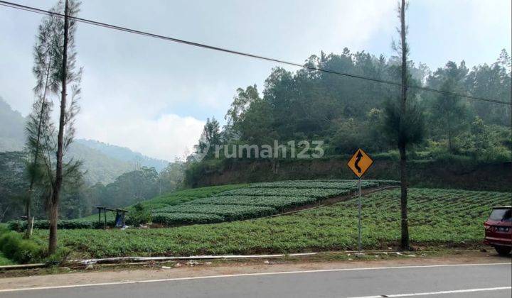 Tanah Luas Super Murah Strategis di Tulungrejo Kota Batu  1