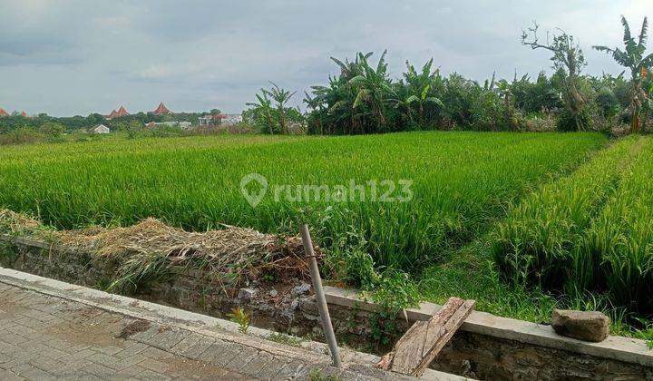 Tanah Luas Strategis Akses Jalan Paving di Singosari Malang  2