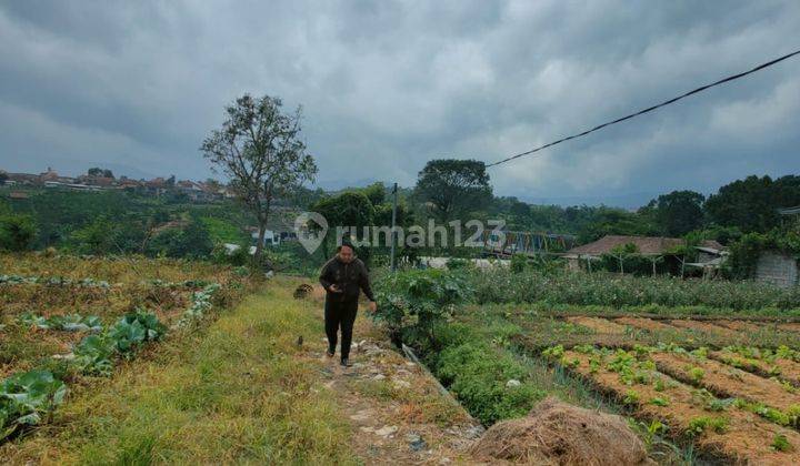 Tanah Murah View Sempurna Bisa Nego Lokasi di Bumiaji Batu 1