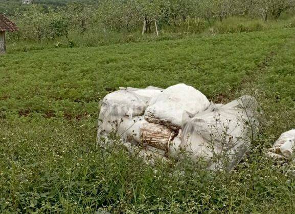 TANAH KEBUN SUBUR HARGA BAGUS DI SUMBERGONDO KOTA BATU. 2