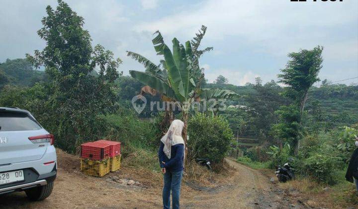 TANAH KEBUN SUBUR HARGA ISTIMEWA DI BUMIAJI KOTA BATU. 1