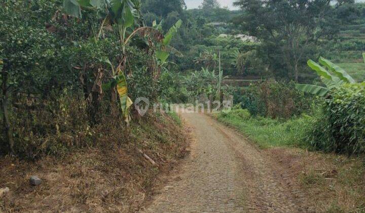 TANAH KEBUN SUBUR HARGA ISTIMEWA DI BUMIAJI KOTA BATU. 2