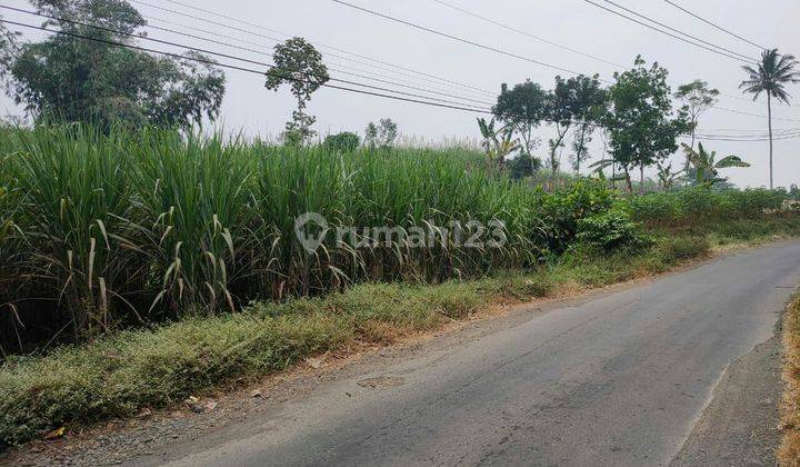 TANAH SAWAH SUBUR HARGA ISTIMEWA DI SINGOSARI KABUPATEN MALANG. 2