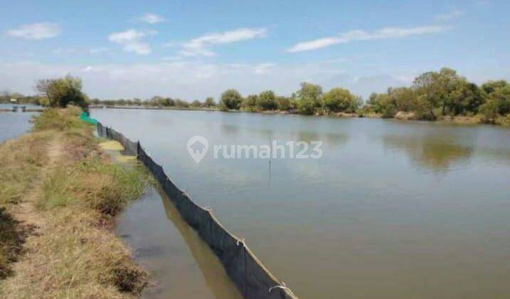 TANAH TAMBAK UDANG HARGA ISTIMEWA DI JABON KABUPATEN SIDOARJO. 1