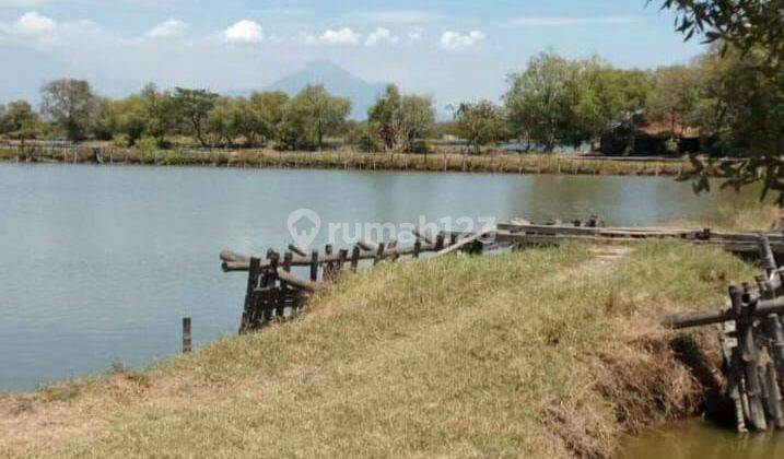 TANAH TAMBAK UDANG HARGA ISTIMEWA DI JABON KABUPATEN SIDOARJO. 2