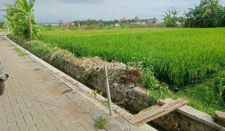 TANAH SAWAH HARGA ISTIMEWA DI SINGOSARI KABUPATEN MALANG. 2