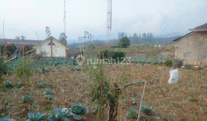 TANAH KEBUN BANGUNAN HARGA ISTIMEWA DI TUMPANG KABUPATEN MALANG.  2