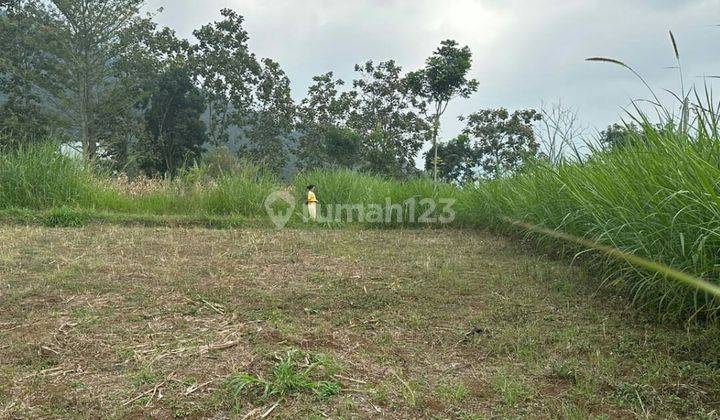 TANAH KEBUN SUBUR HARGA ISTIMEWA DI ABDUL GANI ATAS KOTA BATU. 1