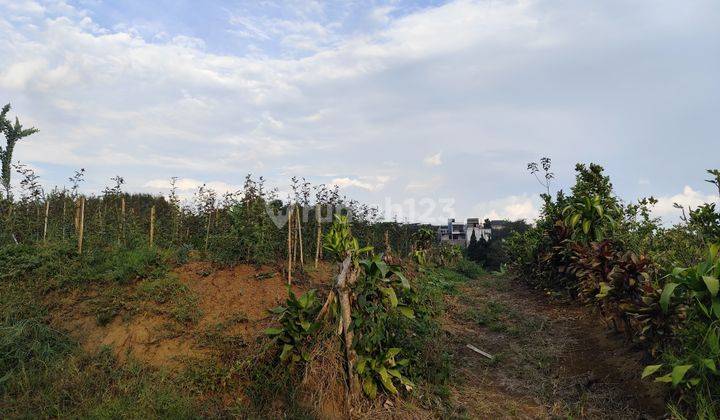 Edisi Bu Tanah Murah Luas Strategis di Sumbergondo Kota Batu  2