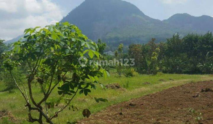 TANAH KEBUN SUBUR HARGA ISTIMEWA DI ABDUL GANI ATAS KOTA BATU. 1