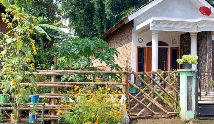 Rumah Bagus Harga Bagus Di Tumpang Kabupaten Malang. 1