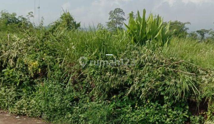 Tanah Subur Murah Akses Mobil Strategis di Junrejo Kota Batu  1