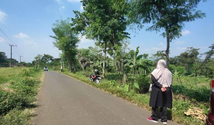 Tanah Sawah Subur Harga Baik Di Purwodadi Kabupaten Pasuruan. 2