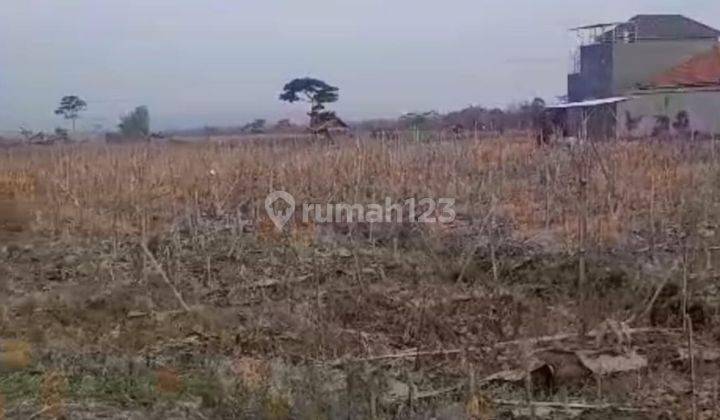 Tanah Sawah Setrategis Harga Istimewa Di Karangploso Malang. 1